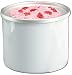 Deni 5101 Speedee Freeze Canister for Models 5100, 5150 & 5400 Automatic Ice Cream and Yogurt Makers