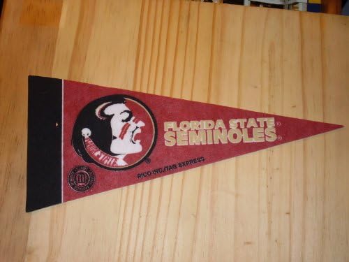 Florida State Seminoles Mini Felt Pennant