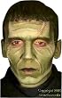 Frankenstein Make Up Costume Kit