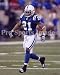 Bob Sanders Indianapolis Colts 8x10 Photo