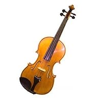 Molinari Romanian 1/2 Size Student Violin Outfit (Oil Finish, Wood Bow, Thermoplastic Case)