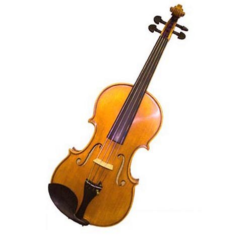 Molinari Romanian 34 Size Student Violin Outfit