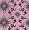 Pink Swirl