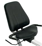  : LifeSpan Fitness R2 Recumbent Bike