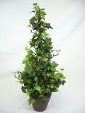 54cm Potted Artificial Silk Ivy 'Pyramid' Tree ~ Office Plant with Pot ~ Home & Conservatory Decoration