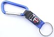 Minnesota Twins Carabiner Key Chain