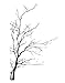 Stickerbrand© Nature Vinyl Wall Art Bare Tree Branch Wall Decal Sticker - Black, 60