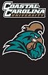 Coastal Carolina Chanticleers Applique Embroidered Banner Flag 44"x28" NCAA College Athletics Fan Shop Sports Team Merchandise