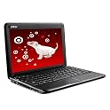 Q2 MSI Wind 10" Netbook Computer with PC Treasures Bundle - Black (U100-641US)