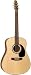 Seagull 25th Anniversary Mahogany Spruce 6-string Acoustic Guitar with Deluxe Gigbag