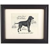 IMAGE OF Labrador Retriever Black Dog Print- Ballard Designs