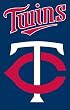 AFMIN Twins 44x28 Applique Banner Banner Flags MLB