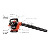 Echo Powerful Leaf Blower.