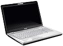 Toshiba Satellite L550D-10G 17,3 Zoll Notebook (AMD Athlon 64 X2 QL-65  2.1GHz, 4GB RAM, 500GB HDD, ATI Radeon HD 4570 , DVD+- DL RW, Vista Home Premium)