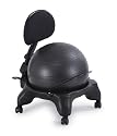 Aviva Fitness Ball Chair with Back Support