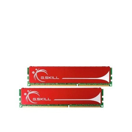 G.Skill NQ Series F3-12800CL9D-4GBNQ Dual Channel - Memory - 4 GB : 2 x 2 GB - DIMM 240-pin - DDR3 - 1600 MHz / PC3-12800 - CL9 - 1.8 V - unbuffered - non-ECC