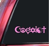 COEXIST - Promote Peace Vinyl Decal Sticker - Pink