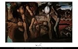 (24x36) Salvador Dali Metamorphosis Art Print Poster