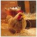 Plush Red Hen Puppet 15