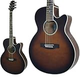 TAKAMINE Cooder TCP-480/ASG/Zbgt GARM^[