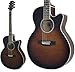 TAKAMINE Cooder TCP-480/ASG/Zbgt GARM^[
