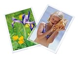 Royal Sovereign Heat Sealed Laminating Pouches 10 Mil 3" X 5" Photo/Small Index Card Size Clear Gloss (100 Pack) (RF103X5C0100)