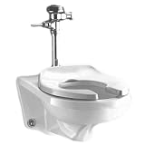American Standard 2257.103 Afwall Wall Hung Elongated Toilet Bowl, White