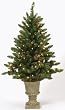 4' Pre-Lit Indoor/Outdoor Freemont Christmas Potted Topiary Tree with Pine Cones