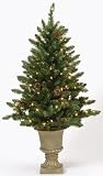 4′ Pre-Lit Indoor/Outdoor Freemont Christmas Potted Topiary Tree with Pine Cones
