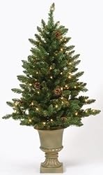 4' Pre-Lit Indoor/Outdoor Freemont Christmas Potted Topiary Tree with Pine Cones
