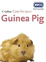Care for Your Guinea Pig (RSPCA Pet Guide)