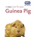 RSPCA Pet Guide - Care for your Guinea Pig