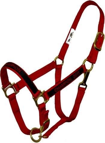 Personalized Monogrammed Nylon Halter