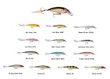 X Rap Freshwater Jerkbait 4 7/16oz Silver Blue - Rapala XR10SB, Fishing Lures & Lure Kits