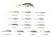 Sporting Goods : X Rap Freshwater Jerkbait 4" 7/16oz Clown - Rapala XR10CLN, Fishing Lures & Lure Kits