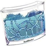  : Fascinations Antworks