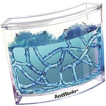 Fascinations Antworks