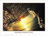 Creation Captured Golden Sunrise Curl Poster