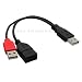 USB 2.0 Y cable - USB-Kabel - USB Typ A, 4-polig (M)