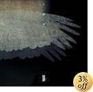 ミザリー【ジャケットC】(在庫あり。)