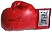 LENNOX LEWIS SIGNED EVERLAST BOXING GLOVE