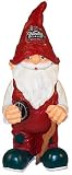 2010 NHL Winter Classic Gnome