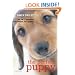 The Perfect Puppy: Britain's Number One Puppy Care Book