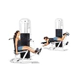 Inflight Multi-Leg Extension/Leg Curl