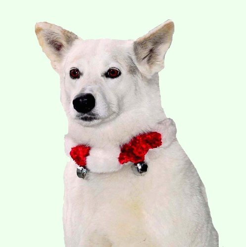 Kyjen Holiday Dog Bell Collar, Small