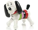 BRIO Puck