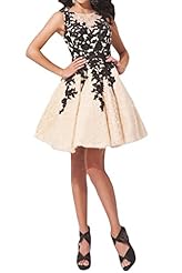 Short Applique Lace 2015 Homecoming Dress/Prom Dress 