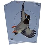 Pregame Duck 12? x 18? Tgt - 8 targets