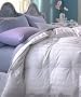 Marriott Holiday Special Queen Size Down Comforter