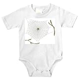 Onesie with spider, arachnid, web, spindelnat, arthropod, invertebrate, silk, animal, weaver, beneficial, orb